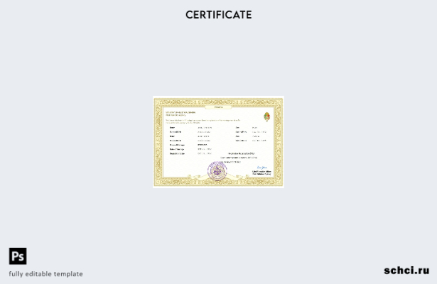 цифровая загрузка свидетельства о браке в Эфиопии, шаблон Word и PDF